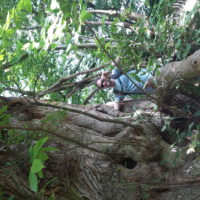 Adi im Urwald?