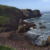 Wanderung Saint Abbs Head