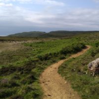 Nächste Wanderung