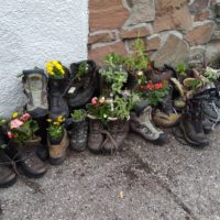 Das kann man mit ausgeschaubten Wanderschuhen auch machen :-)