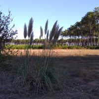 Impressionen von unserem Campingplatz