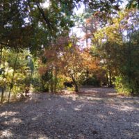 Impressionen von unserem Campingplatz