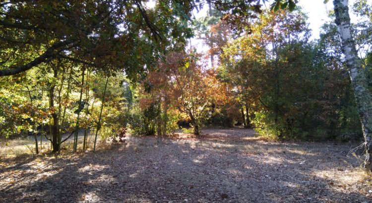 Impressionen von unserem Campingplatz