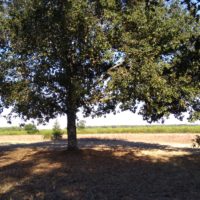 Impressionen von unserem Campingplatz