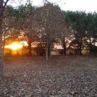 Sonnenuntergang