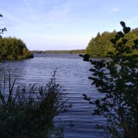 Lac de Léon vom Wind gekräuselt