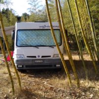 "Wini" beim Bambus