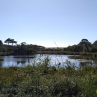 Schöner Blick auf das Naturreservat