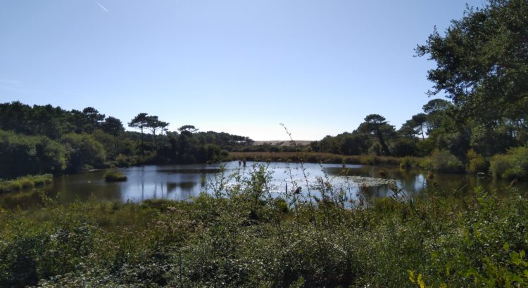 Schöner Blick auf das Naturreservat