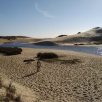 Süsswasser durch den Sand