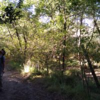 Kleine Wanderung im Parc régional des Landes de Cascogne