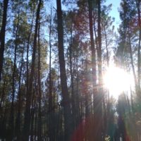 Herbstsonne
