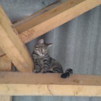 Abschied vom Campingmonster