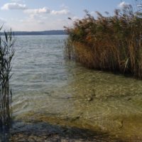 Keine Touris mehr - die meisten bleiben in der Altstadt