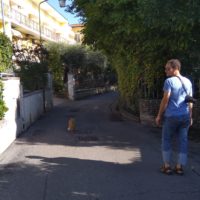 Die Katze, die uns ignorierte und trotzdem den Weg zeigte
