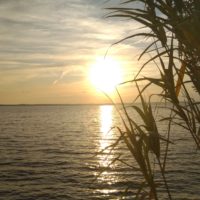 Sonnenuntergang (schon wieder :-))