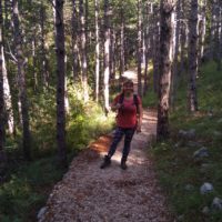 Durch den Pinienwald