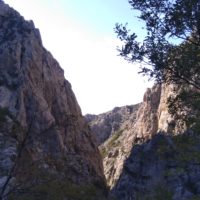 Die Schlucht