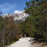 Weiter auf dem Weg