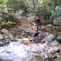 Die Wanderung wird wilder und abenteuerlicher