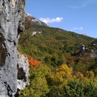 Herbst