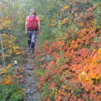 Herbst