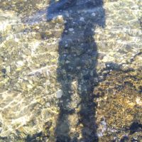 Selfie